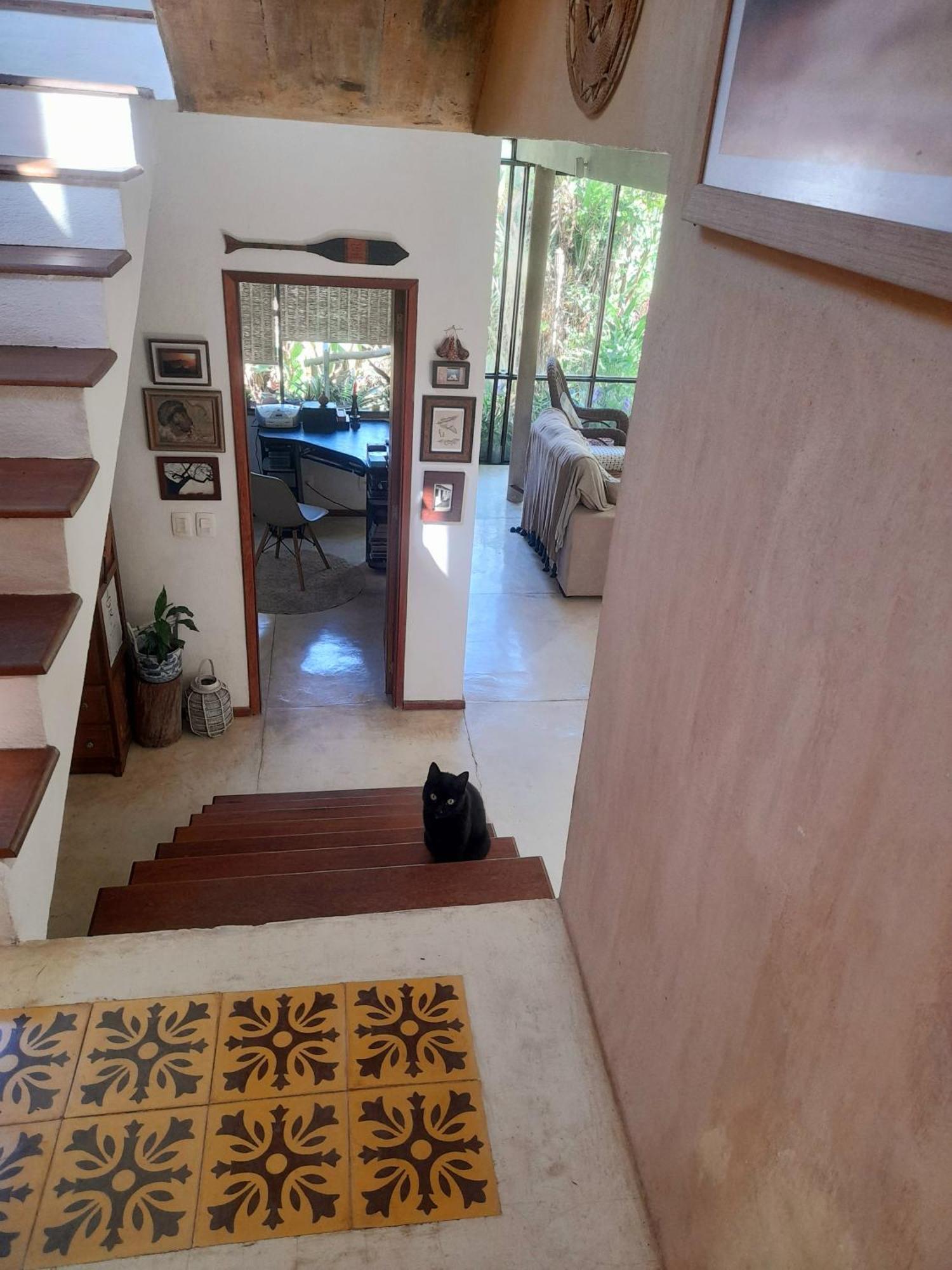Appartement Casa De Vidro à Petrópolis Extérieur photo